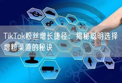 TikTok粉丝增长捷径：揭秘聪明选择增粉渠道的秘诀