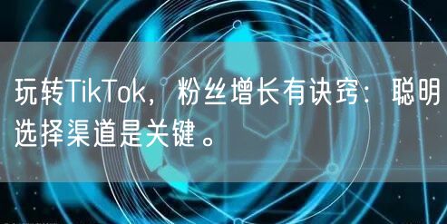 玩转TikTok，粉丝增长有诀窍：聪明选择渠道是关键。
