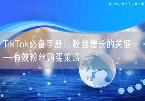TikTok必备手册：粉丝增长的关键——有效粉丝购买策略