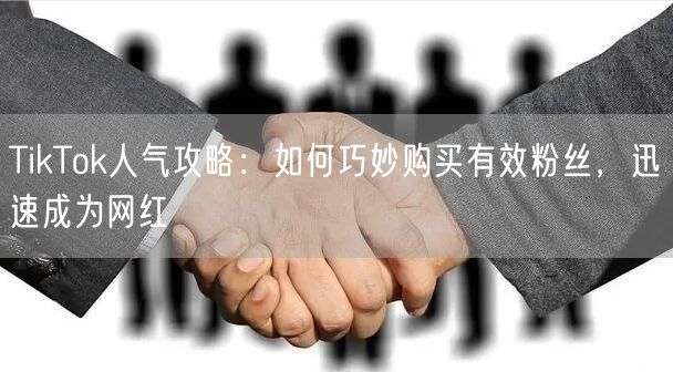 TikTok人气攻略：如何巧妙购买有效粉丝，迅速成为网红