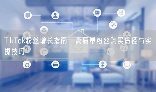 TikTok粉丝增长指南：高质量粉丝购买途径与实操技巧