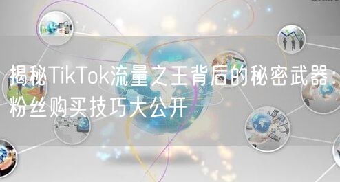 揭秘TikTok流量之王背后的秘密武器：粉丝购买技巧大公开