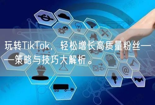 玩转TikTok，轻松增长高质量粉丝——策略与技巧大解析。