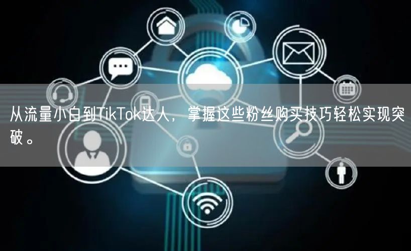 从流量小白到TikTok达人，掌握这些粉丝购买技巧轻松实现突破。