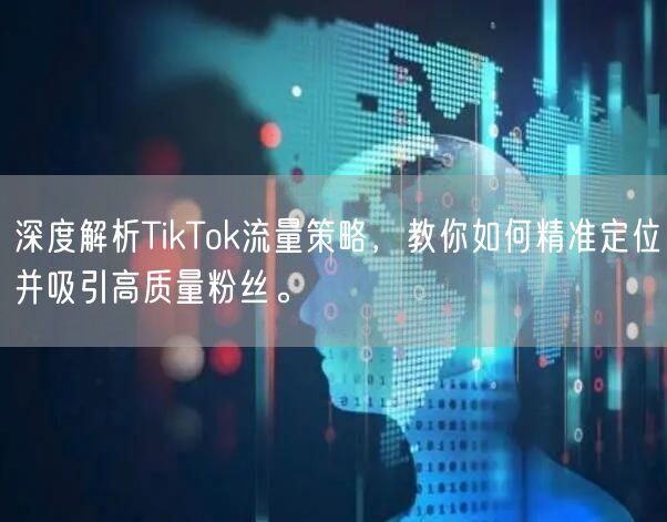 深度解析TikTok流量策略，教你如何精准定位并吸引高质量粉丝。