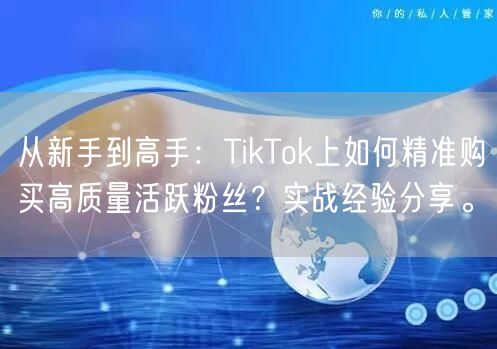 从新手到高手：TikTok上如何精准购买高质量活跃粉丝？实战经验分享。