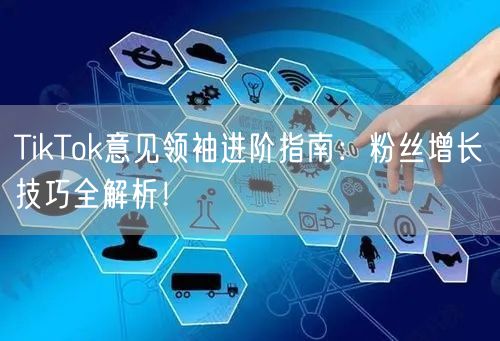 TikTok意见领袖进阶指南：粉丝增长技巧全解析！