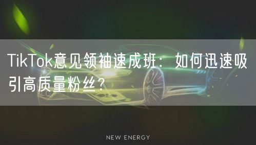 TikTok意见领袖速成班：如何迅速吸引高质量粉丝？