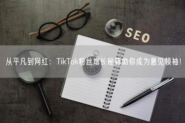 从平凡到网红：TikTok粉丝增长秘籍助你成为意见领袖！