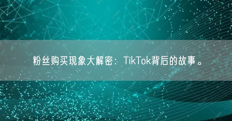 粉丝购买现象大解密：TikTok背后的故事。
