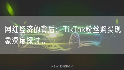 网红经济的背后：TikTok粉丝购买现象深度探讨。