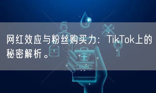 网红效应与粉丝购买力：TikTok上的秘密解析。