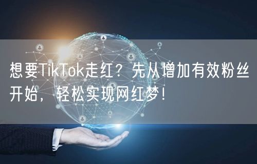 想要TikTok走红？先从增加有效粉丝开始，轻松实现网红梦！