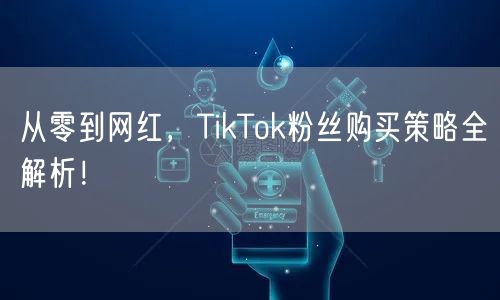 从零到网红，TikTok粉丝购买策略全解析！