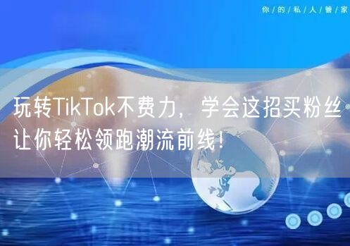玩转TikTok不费力，学会这招买粉丝让你轻松领跑潮流前线！