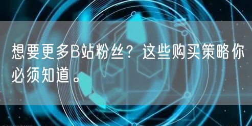 想要更多B站粉丝？这些购买策略你必须知道。