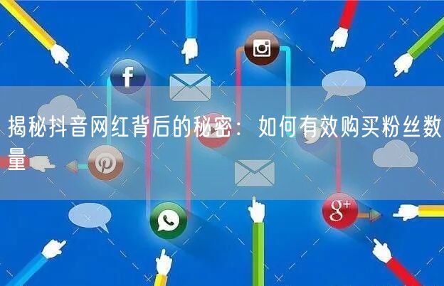 揭秘抖音网红背后的秘密：如何有效购买粉丝数量