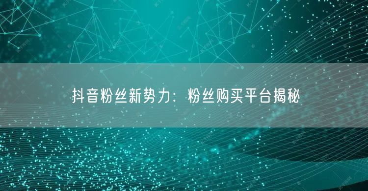 抖音粉丝新势力：粉丝购买平台揭秘