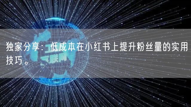 独家分享：低成本在小红书上提升粉丝量的实用技巧。