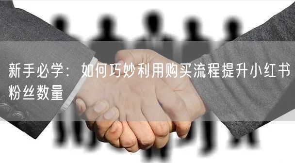 新手必学：如何巧妙利用购买流程提升小红书粉丝数量