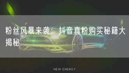 粉丝风暴来袭：抖音真粉购买秘籍大揭秘