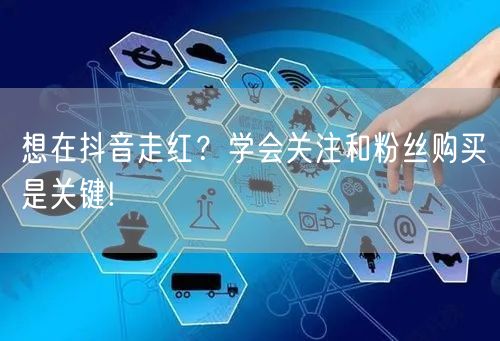 想在抖音走红？学会关注和粉丝购买是关键!