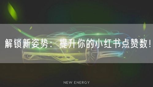 解锁新姿势：提升你的小红书点赞数！