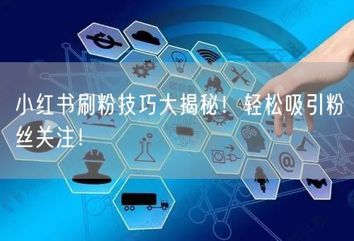 小红书刷粉技巧大揭秘！轻松吸引粉丝关注！