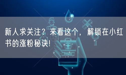 新人求关注？来看这个，解锁在小红书的涨粉秘诀!