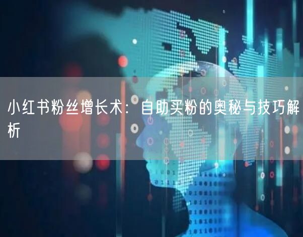 小红书粉丝增长术：自助买粉的奥秘与技巧解析