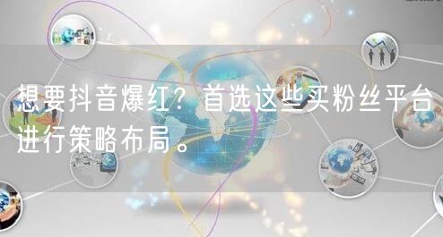 想要抖音爆红？首选这些买粉丝平台进行策略布局。