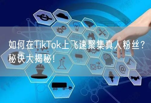 如何在TikTok上飞速聚集真人粉丝？秘诀大揭秘！