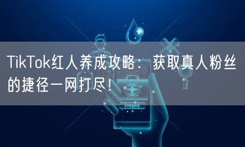 TikTok红人养成攻略：获取真人粉丝的捷径一网打尽！