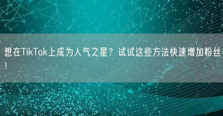 想在TikTok上成为人气之星？试试这些方法快速增加粉丝！